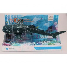 Soft Body Whale Shark