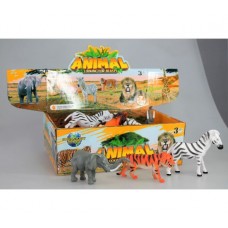 Display Box Of Wild Animals